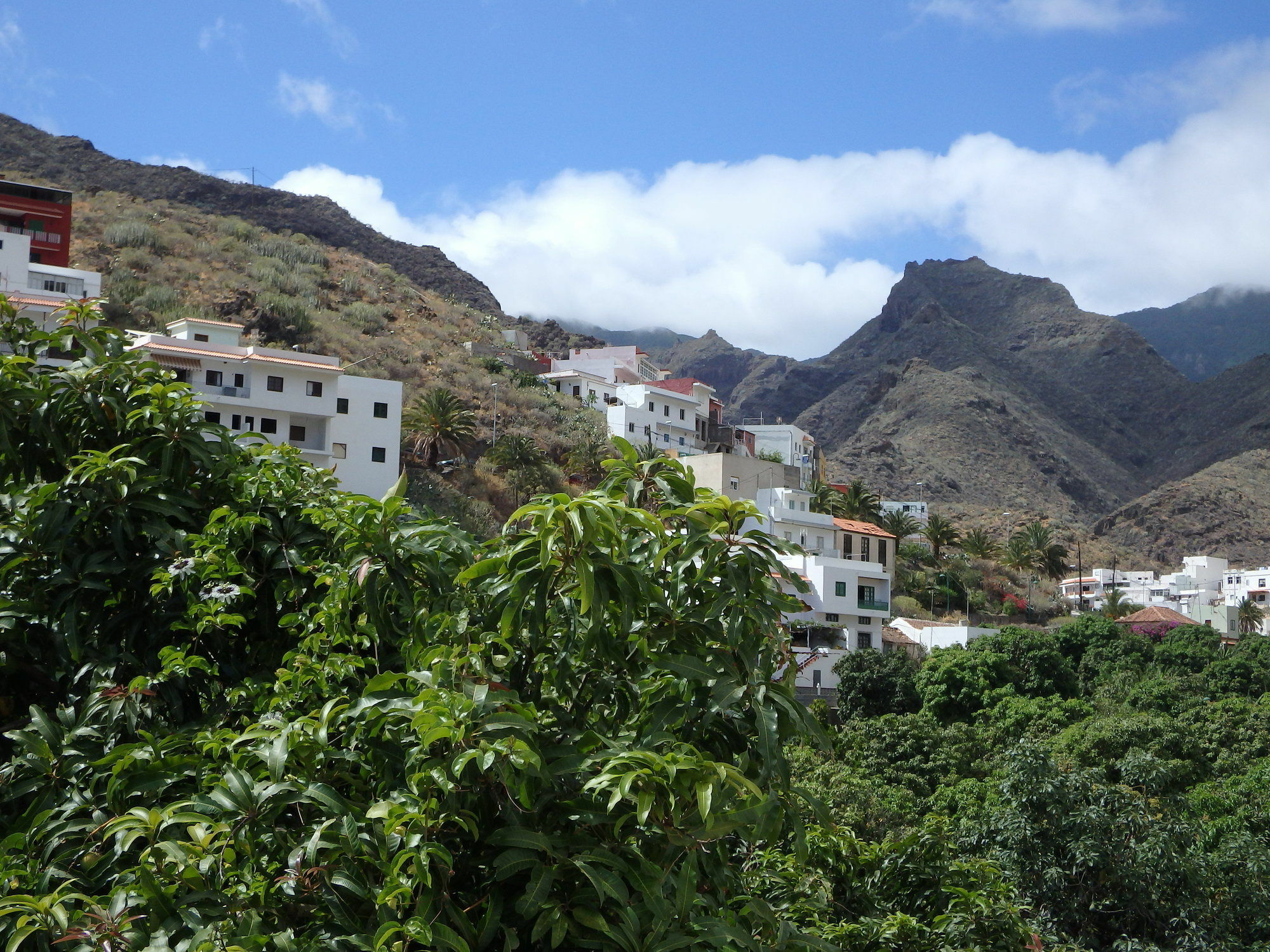 La Casa De Magda Villa Santa Cruz de Tenerife Esterno foto